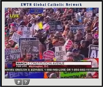 Nice shot showing just a tiny fraction of the huge variety of placards and signs that folks are carrying.